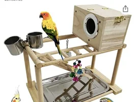 parakeet chewing up wooden house