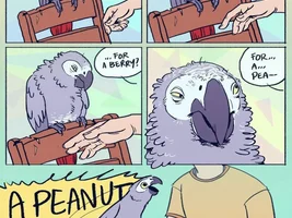 The best Bird meme!!