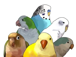 Laura's Flock Thread