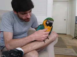 It's a girl! (Name suggestions?)