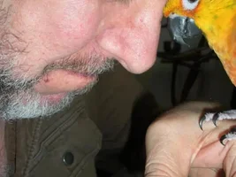 All about my flock and how it all began