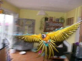 angel in flight