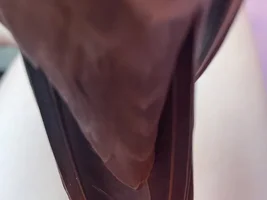 Lemme see ya favorite pics of your birbies 👁️👄👁️
