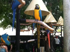 Shout out to Miami seaquarium