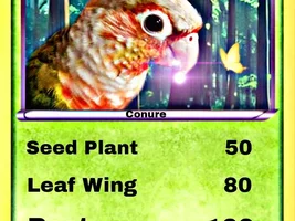 Let me turn your bird into a Poke'mon card!
