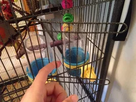 Cage Help?
