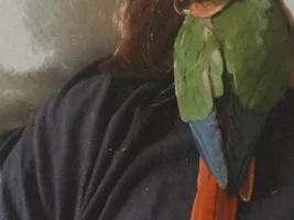 Me and my family are a little unsure of our conures breed?