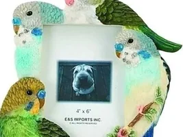 What are you getting your bird for the winter holidays?