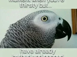mine rarely bathe