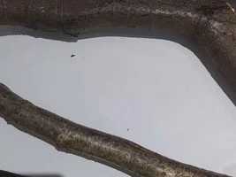How to make sure they are clean and safe..??