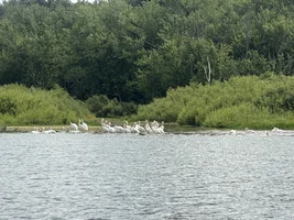 Minnesota