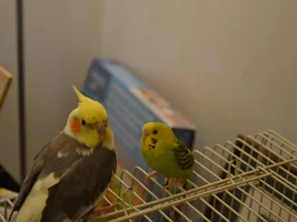 My little new love!
