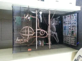 how's my cage?