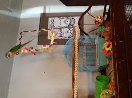 Simple is better :) new play top decor...