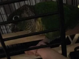 Please help!