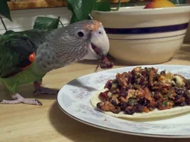Hello... Beaker is my Cape Parrot