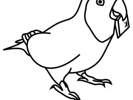 Long time birdy daddy