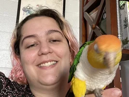 It’s a boy??? It’s a girl???? It’s a Caique!!! X2