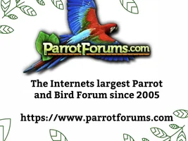 💝 Help out ParrotForums.com - Please post a link to us!