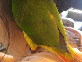 New Family Member :D