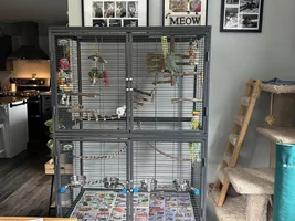 Switching Cages