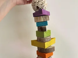 We want to see your homemade toys!