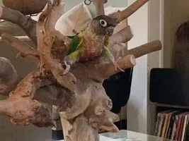 June 2022 Photo Of The Month Contest!!!