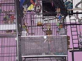 Downsizing???