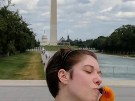 Ollie goes on vacation to Washington DC!