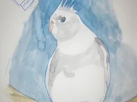 Domnijoe Pets and Art
