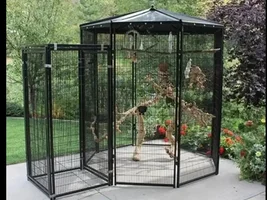 Aviary question