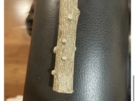 molded wood?