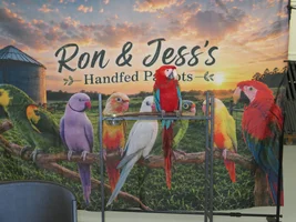 Central Indiana Caged Bird Club 8/9/26