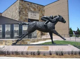 Is This One Of Our Equestrian Members ? ? ?
