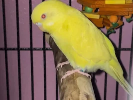 New baby!