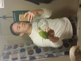 Conure ''Greenhorn" aka:new guy