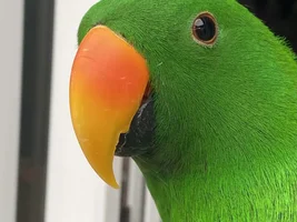 September 2024 POTM Contest!