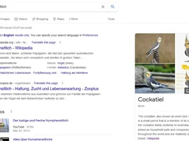 International parrot names