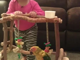 Pictures of my babies and a new toy!! :)