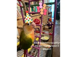 April 2021 POTM Contest!