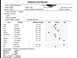 Nike Health Scare