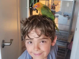I messed up and worry I've broken any chance of a bond.  Help a new guy out?