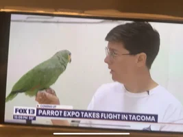 Kirby was on TV!