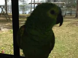 Doesn't Like New Anything!!