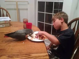 Show Off Your Bird!