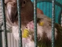 Adopting on Friday!!