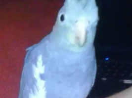 Look At Who Came Out Of His t All On His Own!