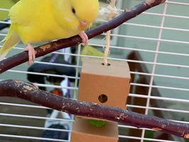 New baby!