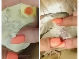Feather loss - Any explanations?