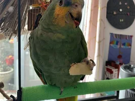 November POTM Contest!